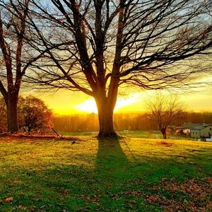 Meet your Posher, Rich